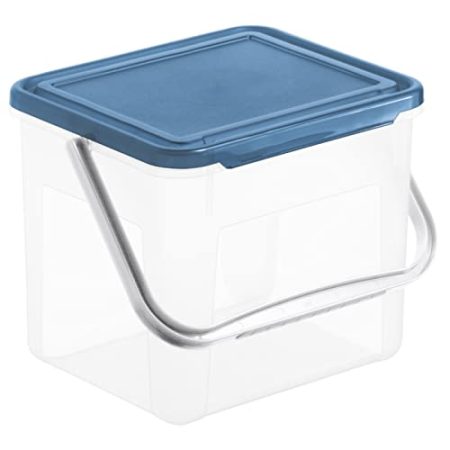 Rotho Basic Aufbewahrungsbox 5l mit Deckel und Henkel, Kunststoff (PP) BPA-frei, transparent/blau, 3kg/5l (21.0 x 20.0 x 18.0 cm)